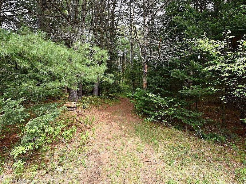 Lot # 3 Burke Road Property Photo 6