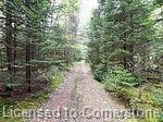 Lot # 3 Burke Road Property Photo 8