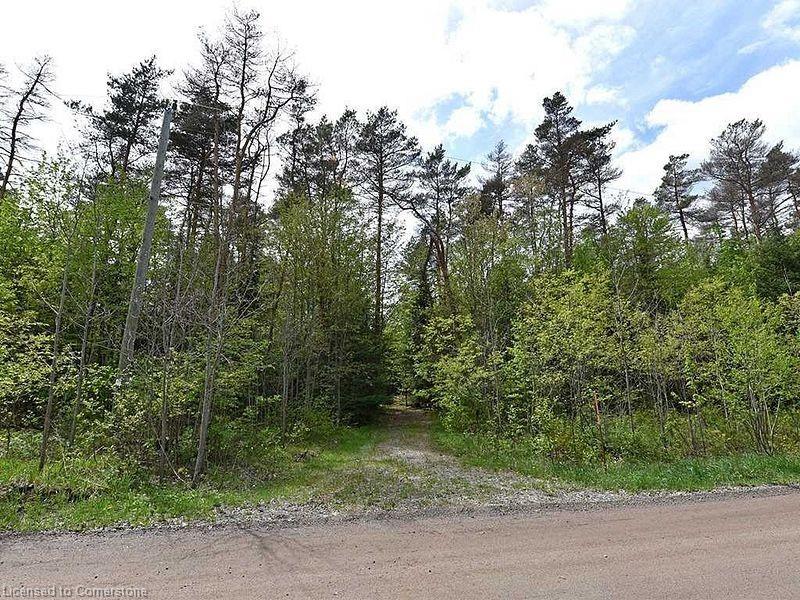 Lot # 3 Burke Road Property Photo 9