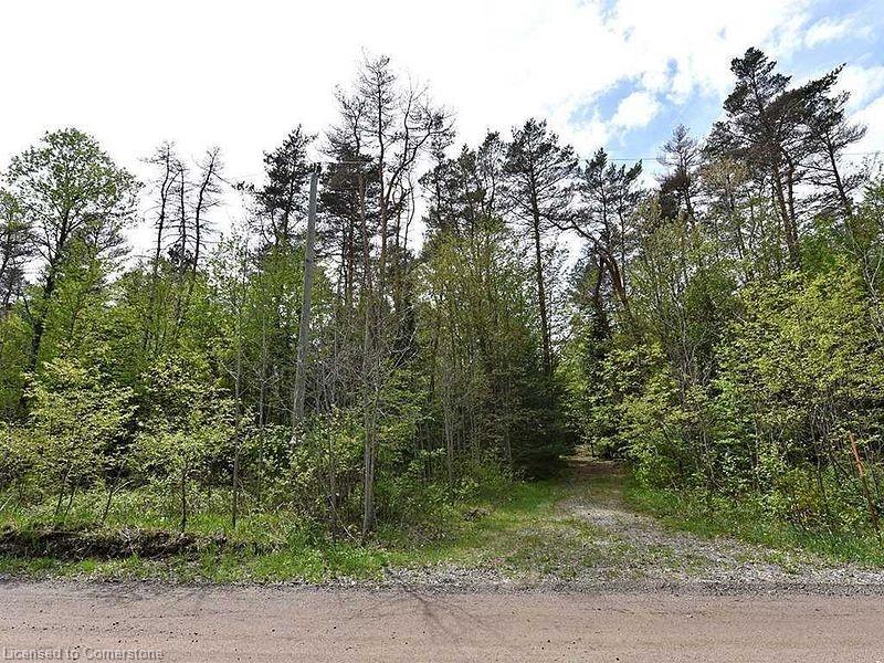 Lot # 3 Burke Road Property Photo 10