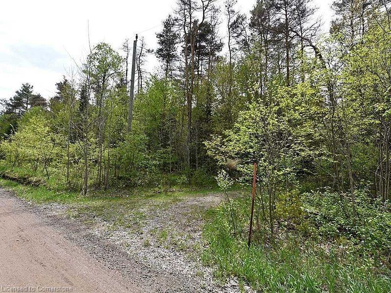 Lot # 3 Burke Road Property Photo 11