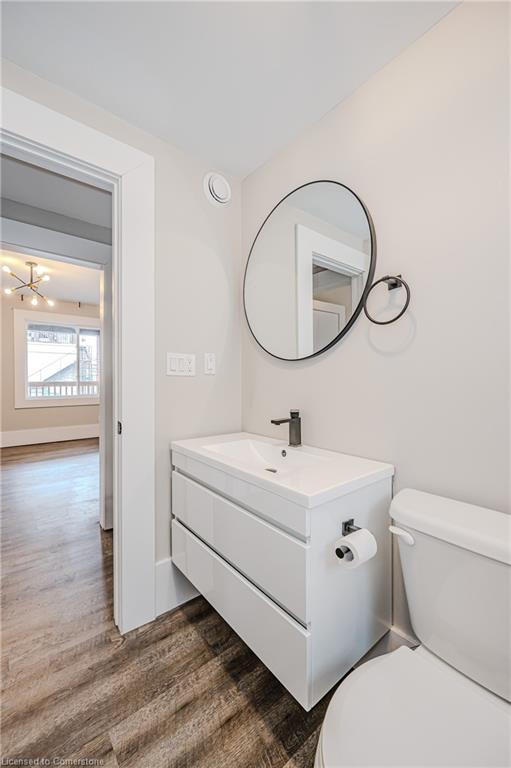 41 Albert Street Property Photo 14