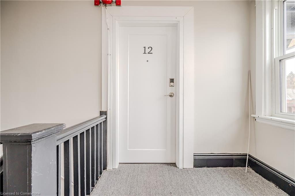 41 Albert Street Property Photo 19