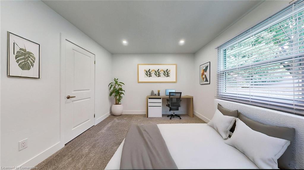 38 Albion Street Property Photo 10