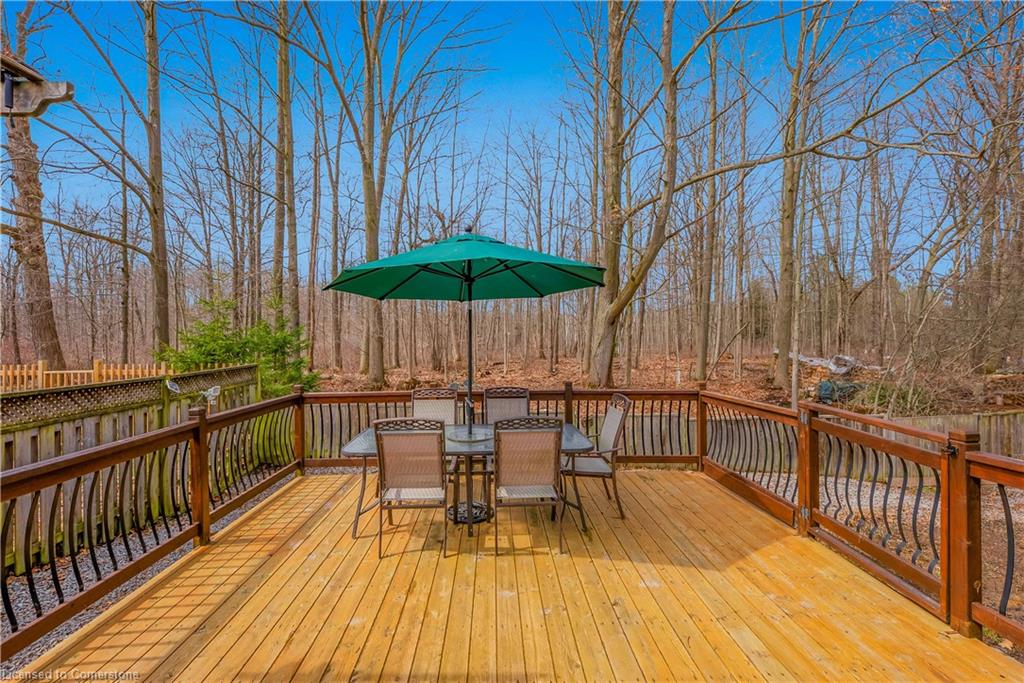 113 Foxtail Avenue Property Photo 42