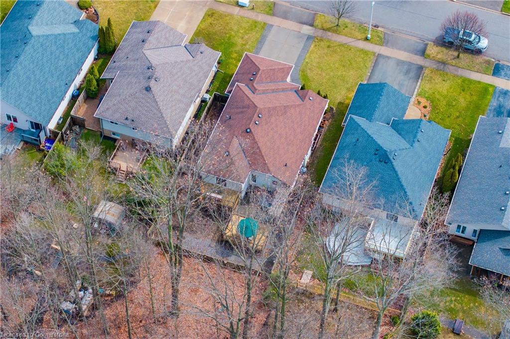 113 Foxtail Avenue Property Photo 47