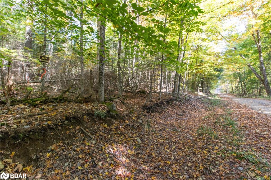 0 Lynx Lake Road Property Photo