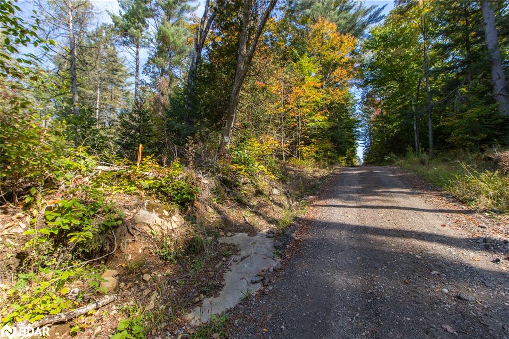 0 Lynx Lake Road Property Photo 2