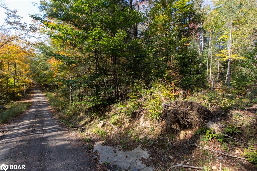 0 Lynx Lake Road Property Photo 3