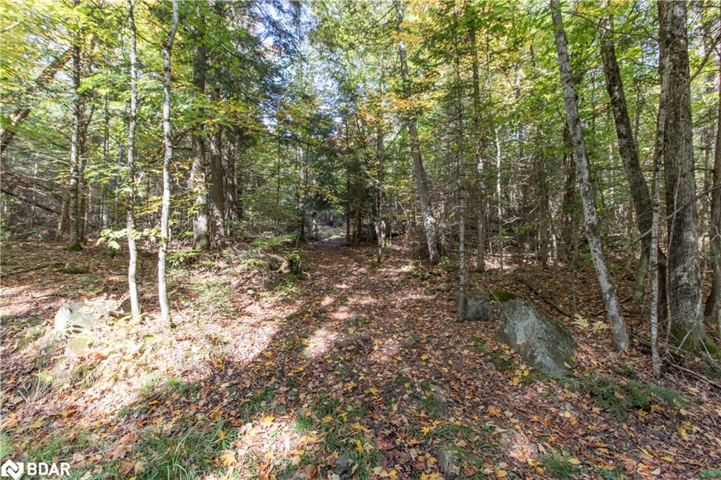 0 Lynx Lake Road Property Photo 7