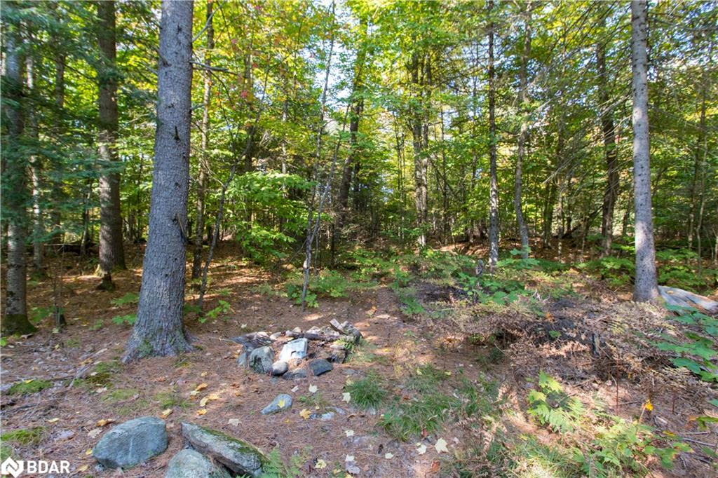 0 Lynx Lake Road Property Photo 12
