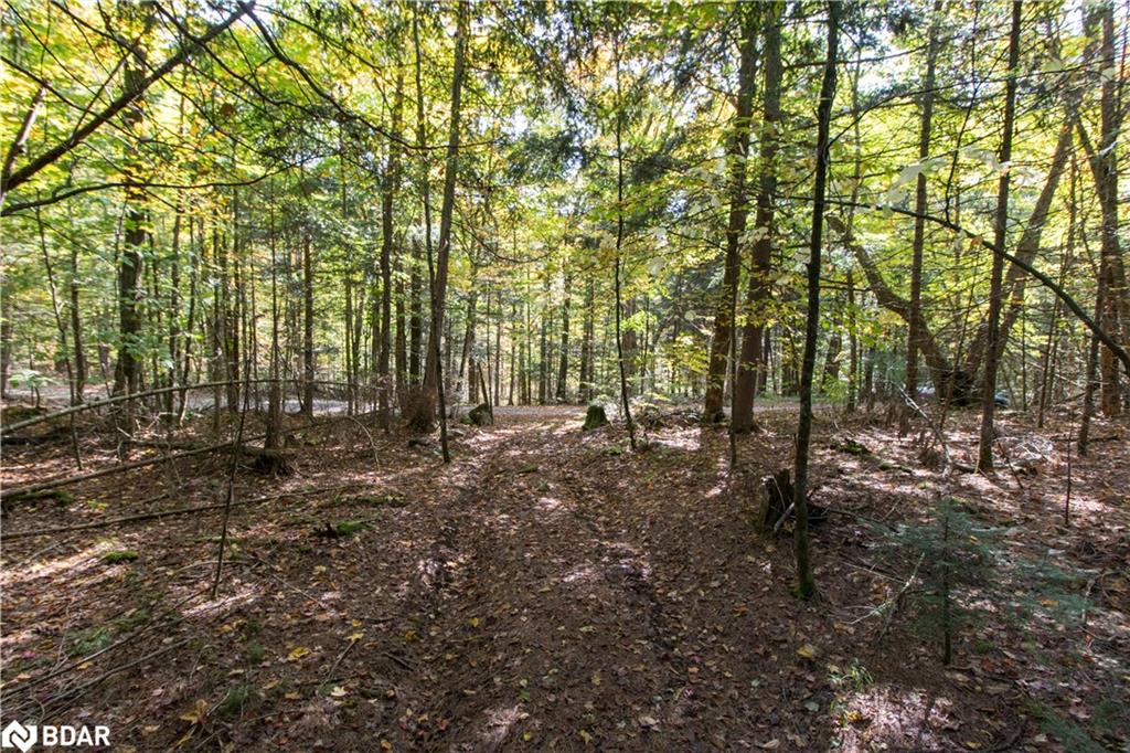 0 Lynx Lake Road Property Photo 14