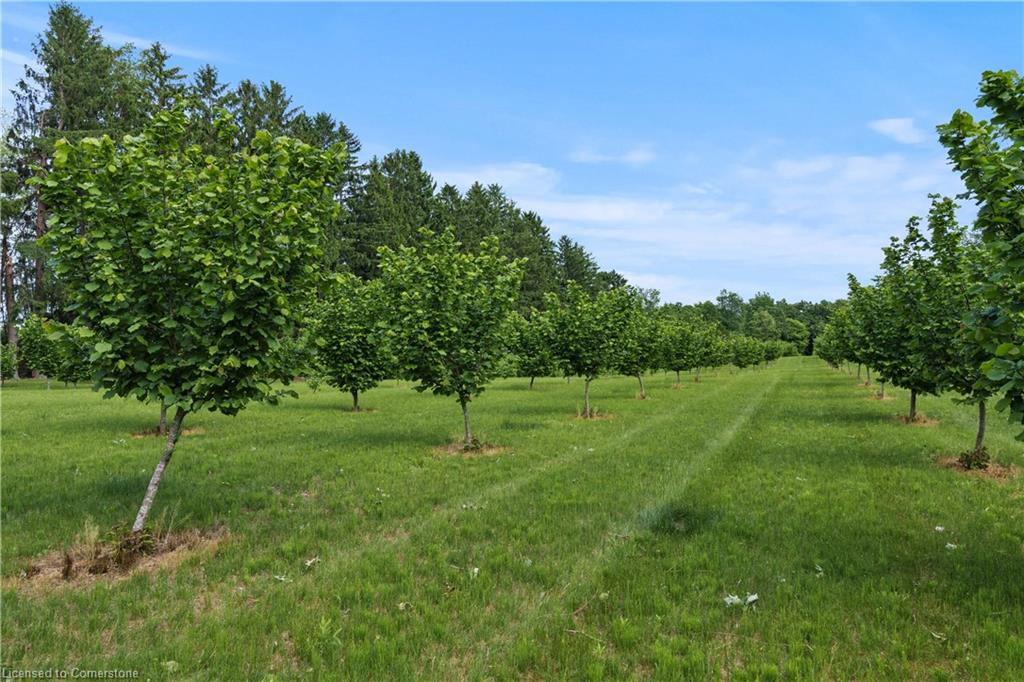 1174 Charlotteville 2 Road Property Photo 10