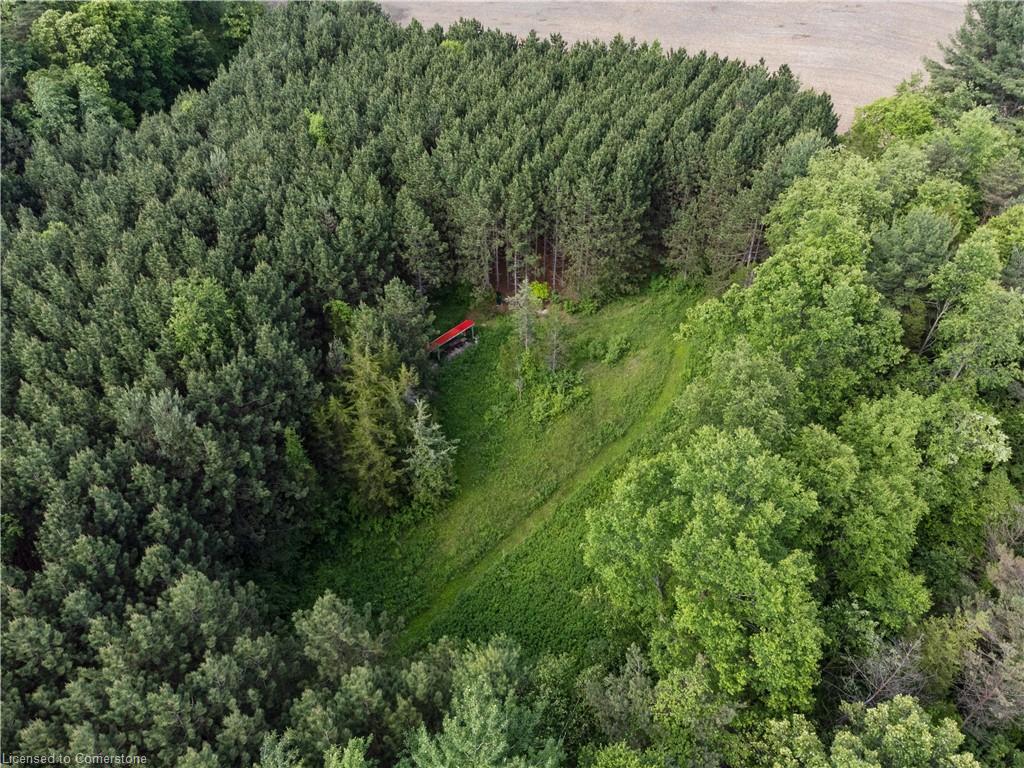 1174 Charlotteville 2 Road Property Photo 12
