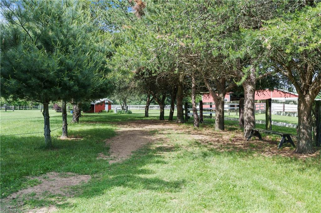 1174 Charlotteville 2 Road Property Photo 19