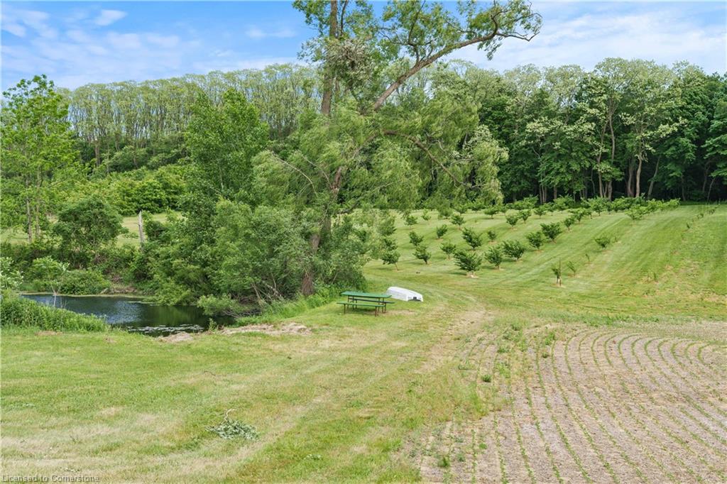 1174 Charlotteville 2 Road Property Photo 22