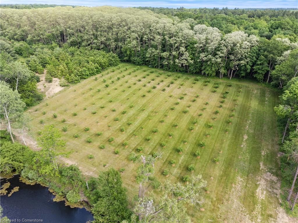 1174 Charlotteville 2 Road Property Photo 23
