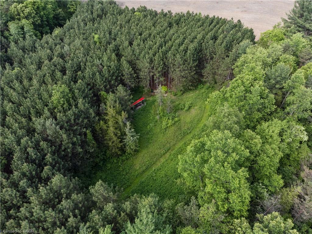 1174 Charlotteville 2 Road Property Photo 13