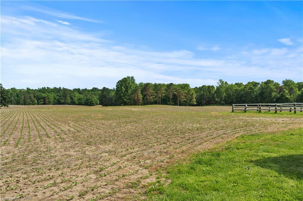 1174 Charlotteville 2 Road Property Photo 21