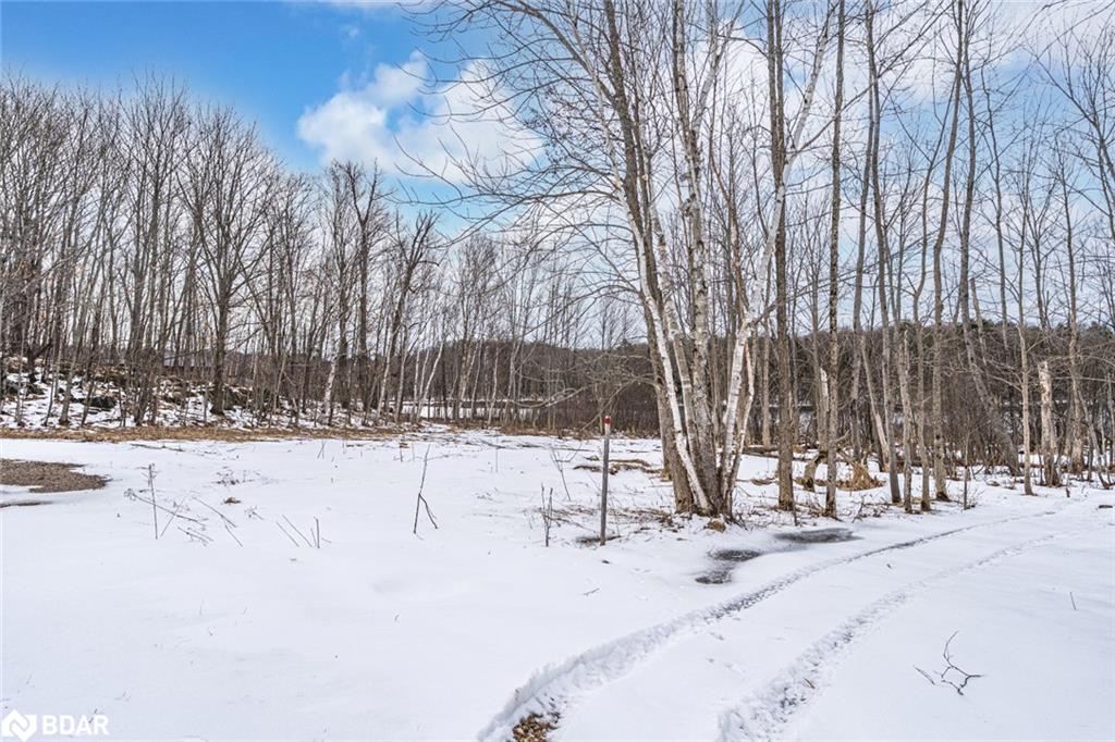 91b Highway 124 Property Photo 2