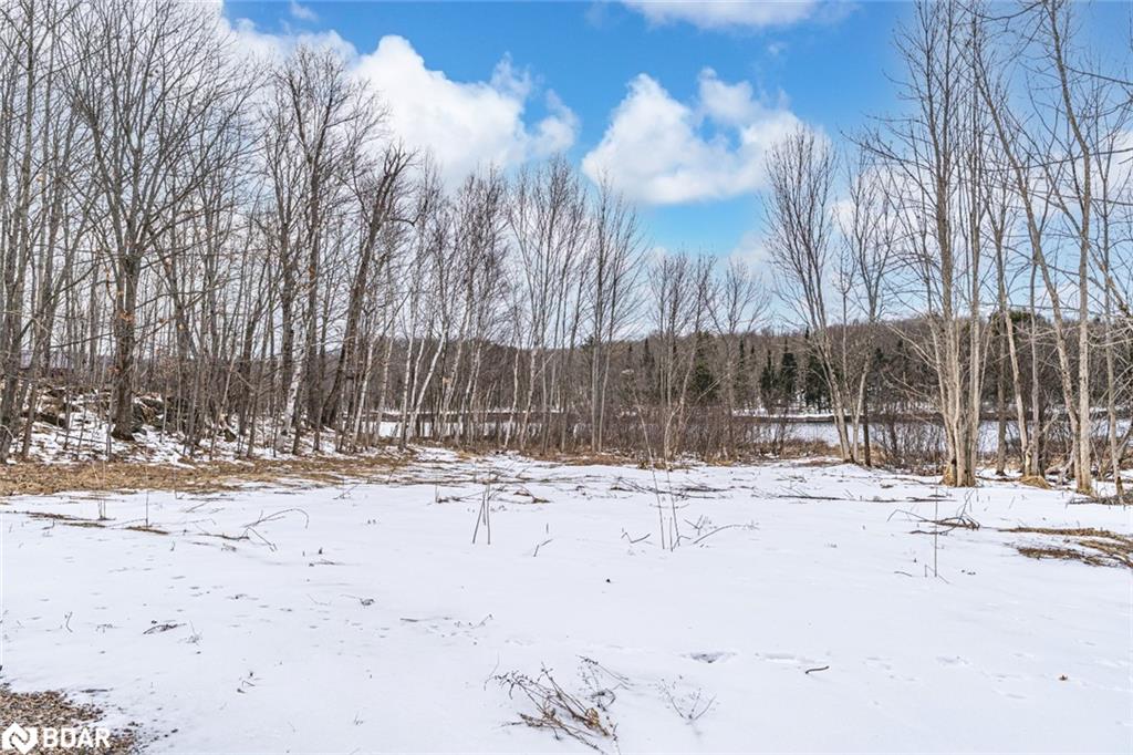 91b Highway 124 Property Photo 3