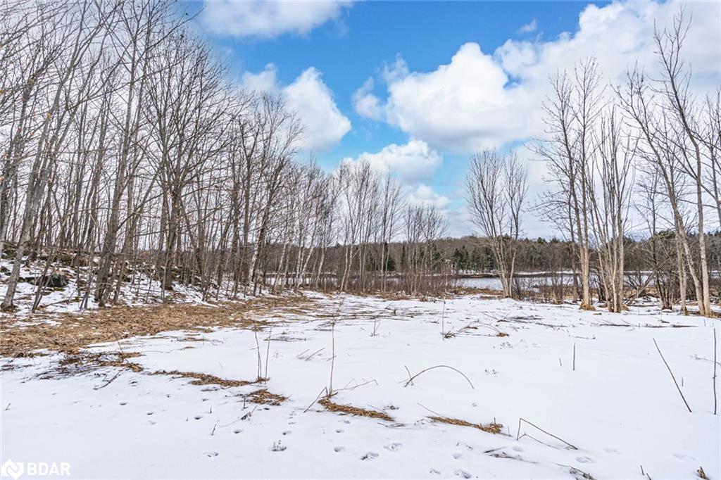 91b Highway 124 Property Photo 4