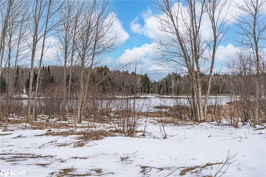 91b Highway 124 Property Photo 5