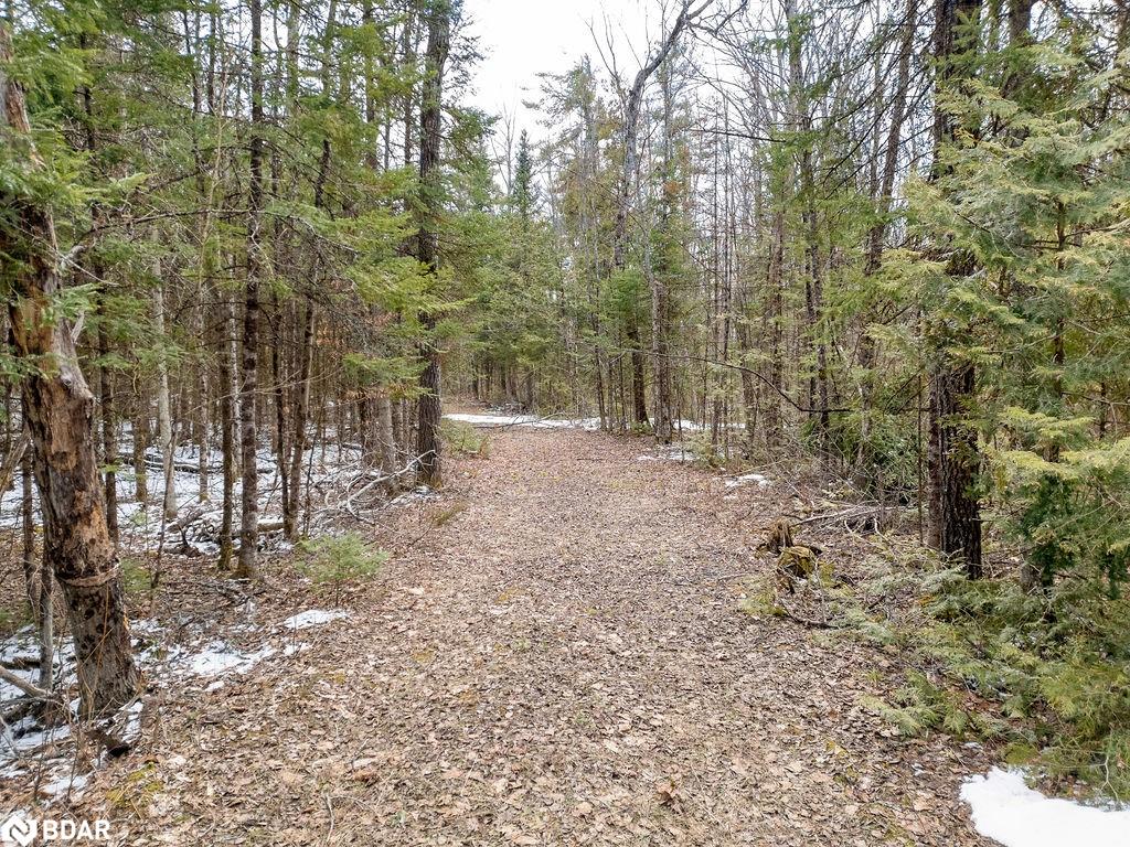 Peterborough County Real Estate Listings Main Image
