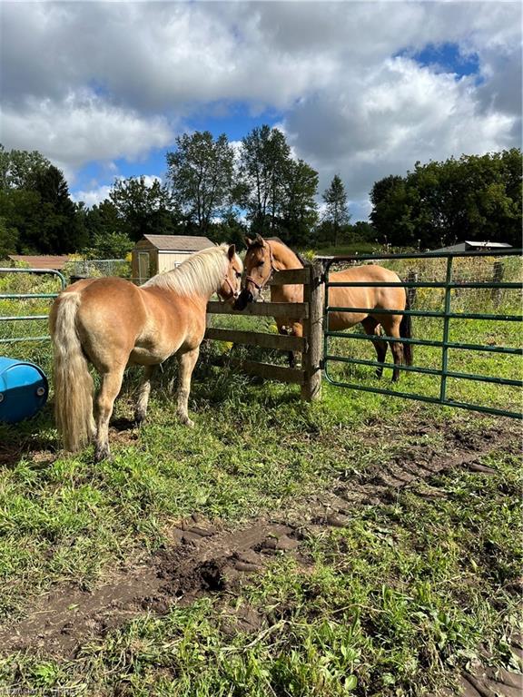 761 Lynden Road Property Photo 20