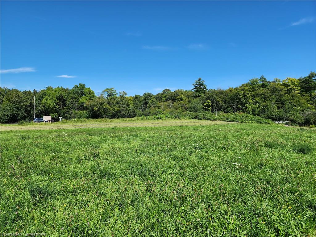 1200 Sawmill Road Property Photo 3