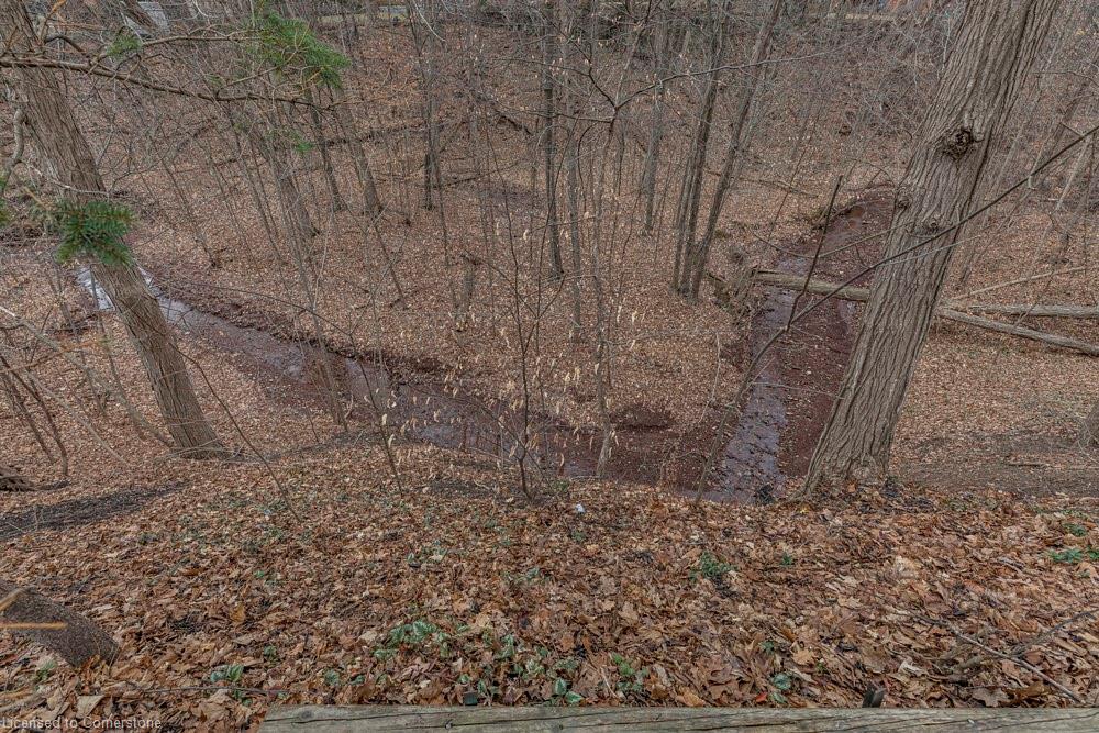 1722 Larchwood Green Property Photo 37