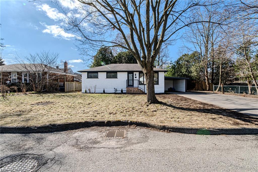 11 Ann Street Property Photo 4