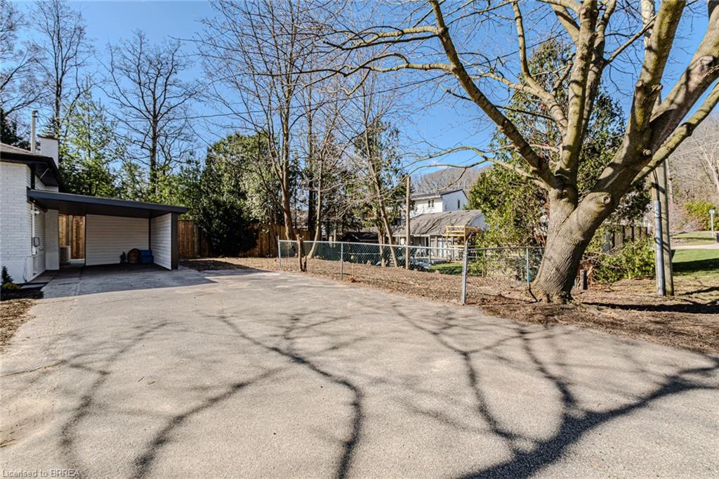 11 Ann Street Property Photo 42