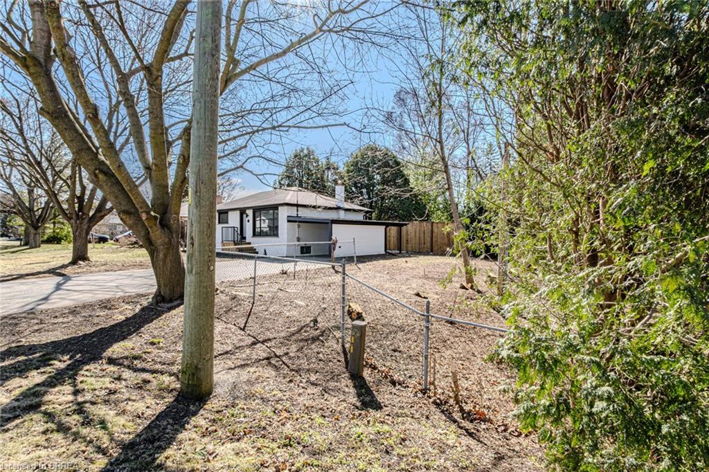 11 Ann Street Property Photo 43