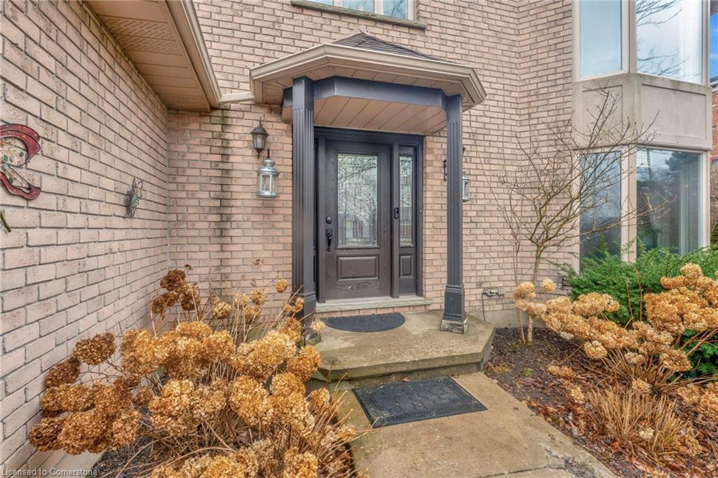 259 Haddington Street Property Photo 3