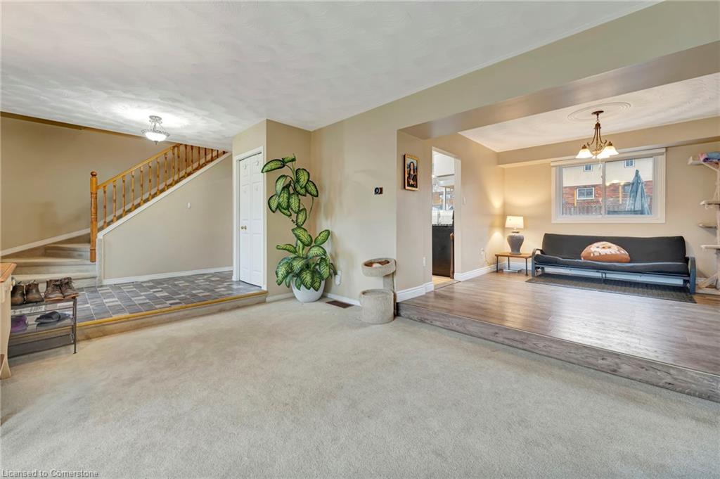 259 Haddington Street Property Photo 12