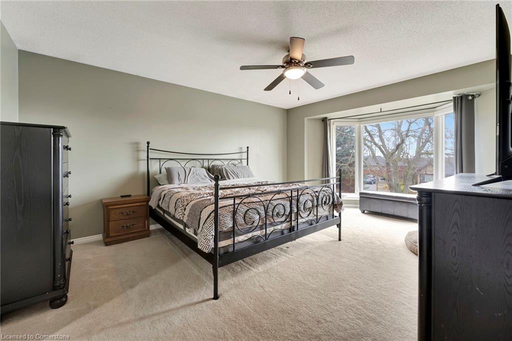 259 Haddington Street Property Photo 17