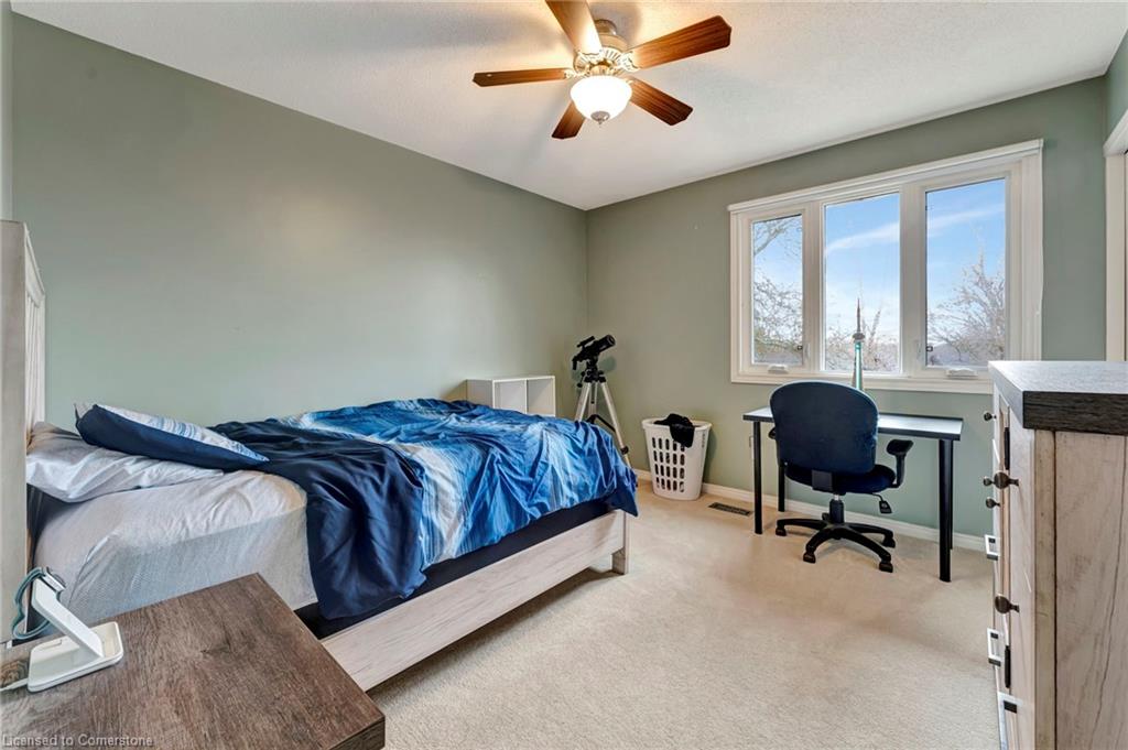 259 Haddington Street Property Photo 20