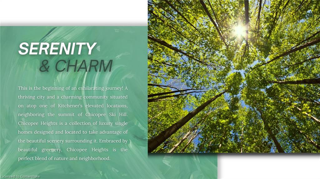 14 North Ridge Terrace Property Photo 13