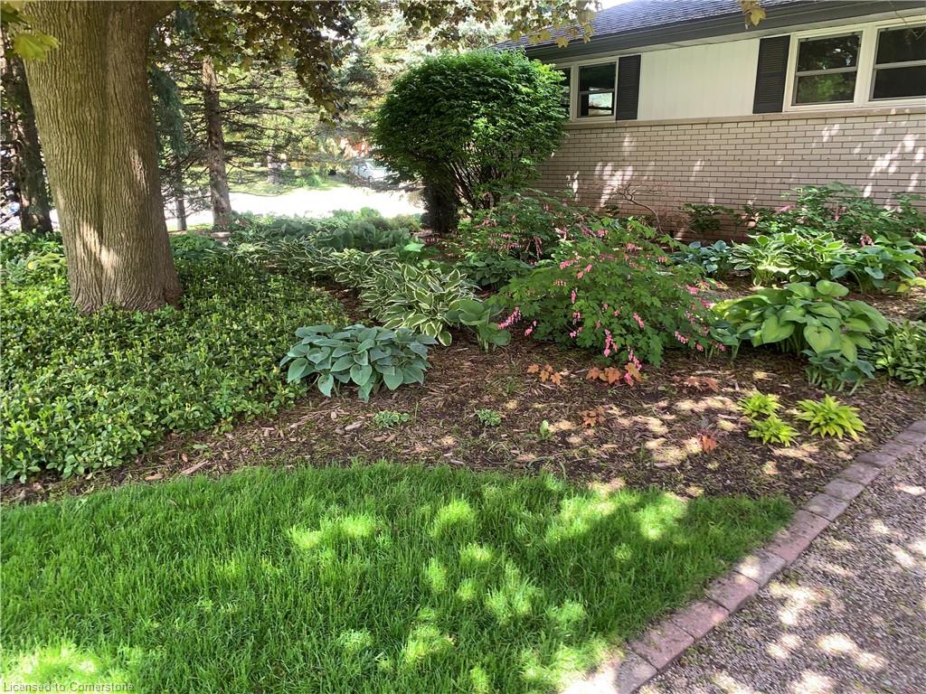 511 Dorval Drive Property Photo 3