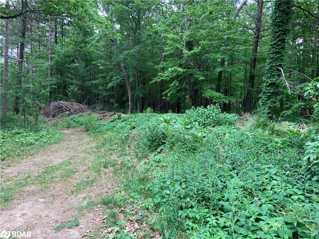 8 Poplar Street Property Photo 3