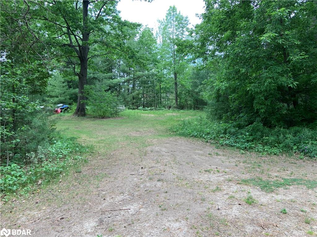8 Poplar Street Property Photo 4