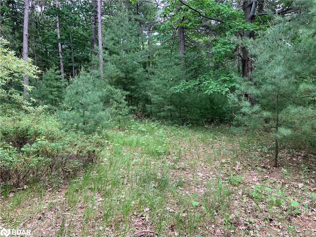 8 Poplar Street Property Photo 8