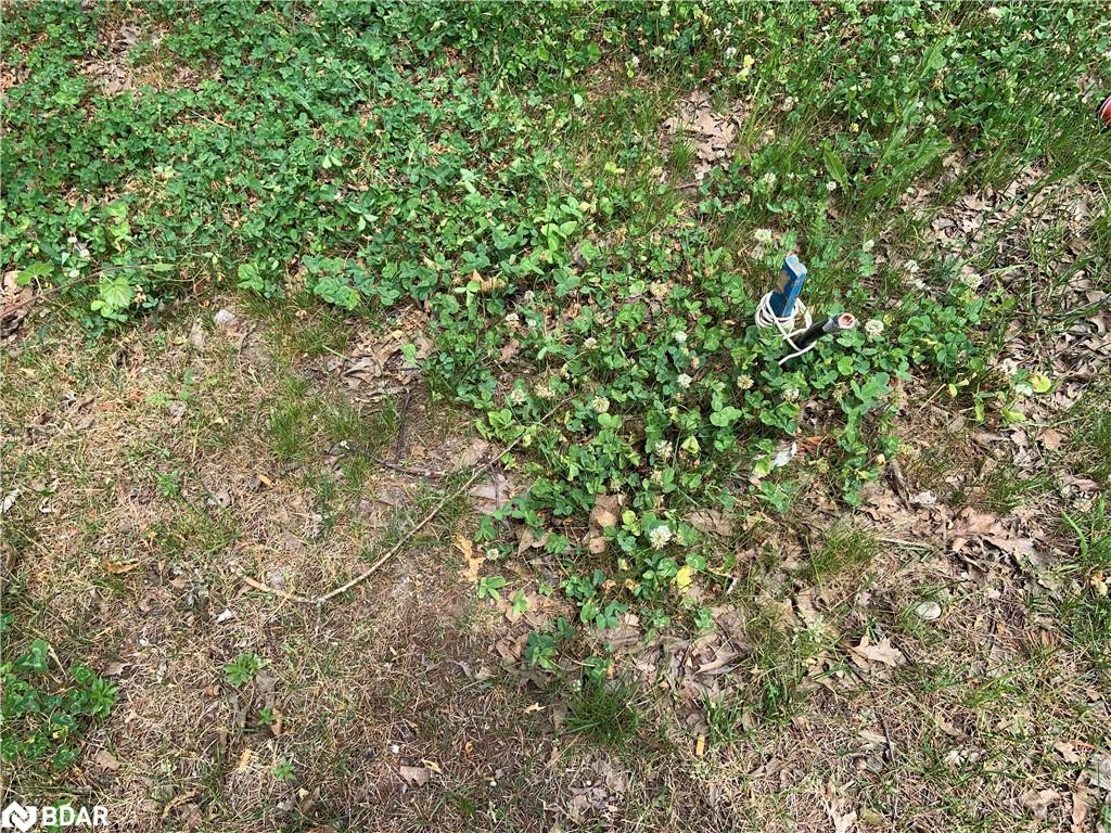 8 Poplar Street Property Photo 11