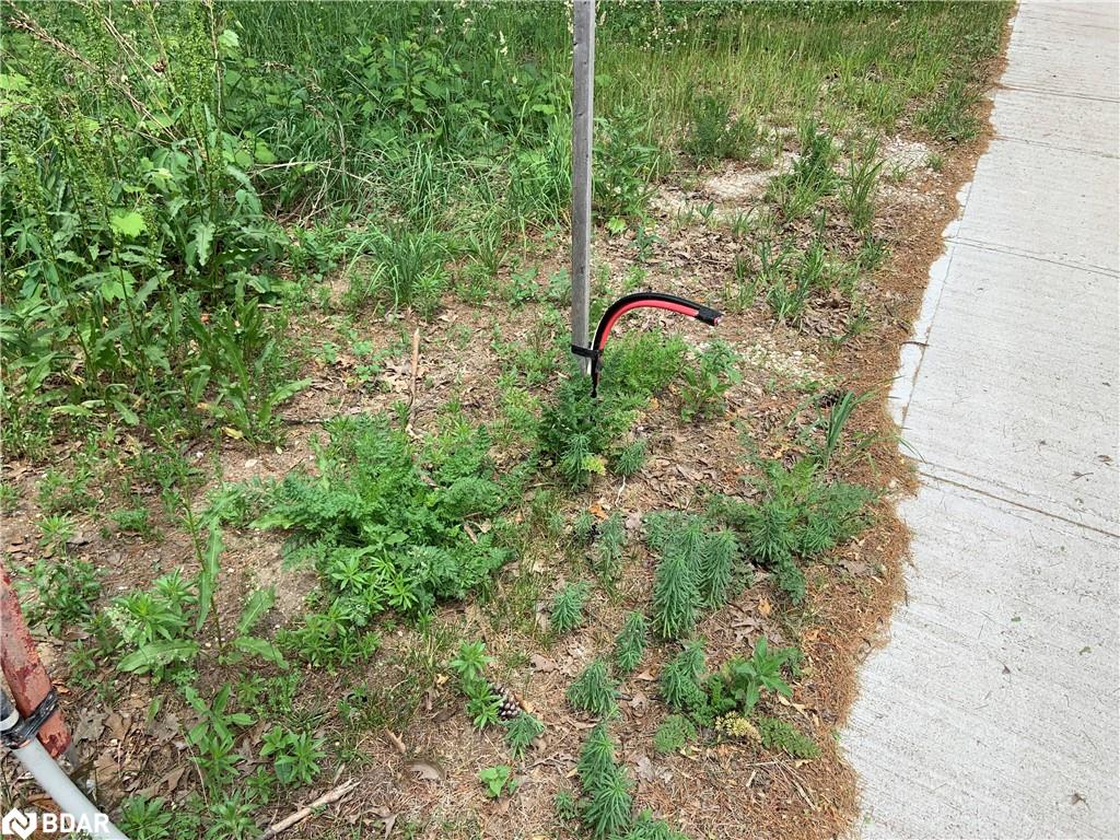 8 Poplar Street Property Photo 12
