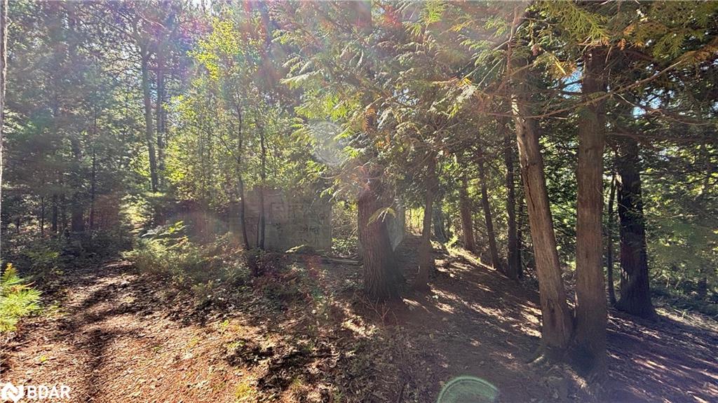 8 Poplar Street Property Photo 14