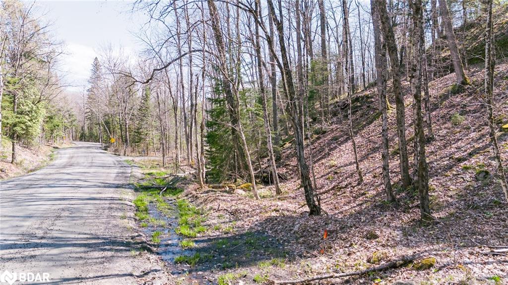 344 North Fox Lake Road Property Photo 6