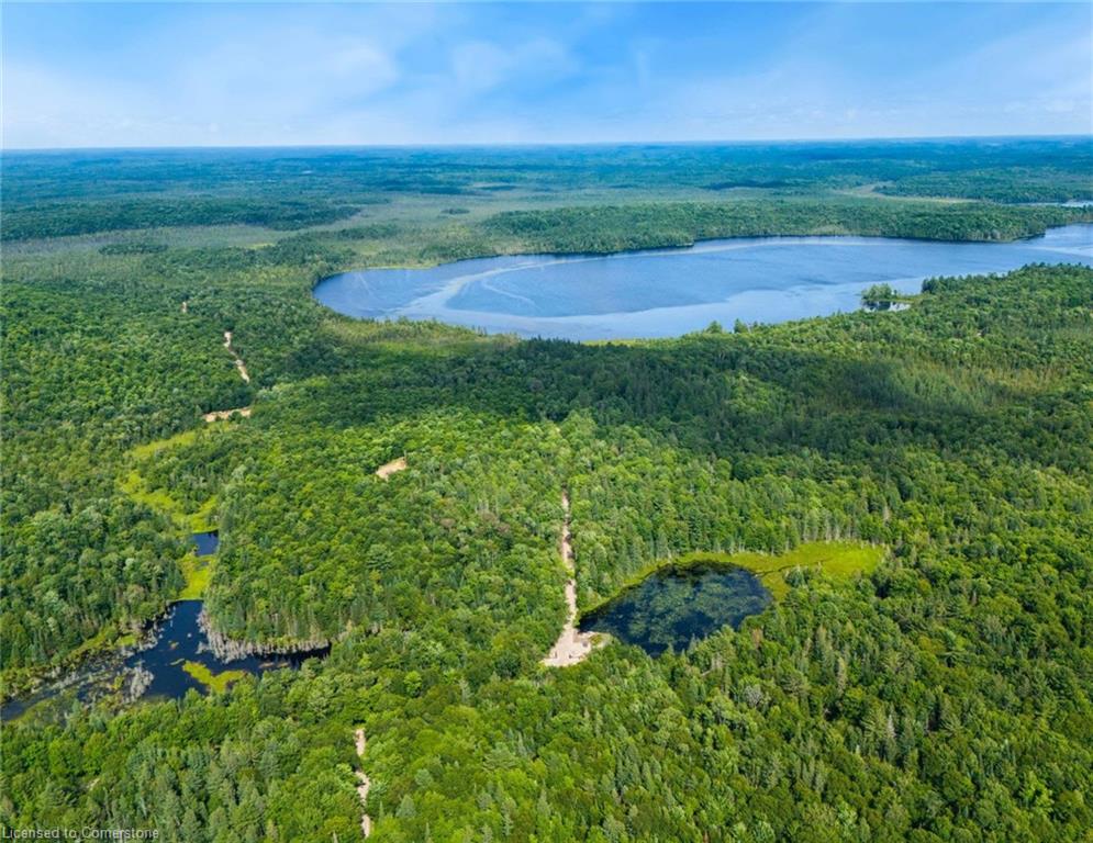 Lot 12 Axe Lake Road Property Photo 3