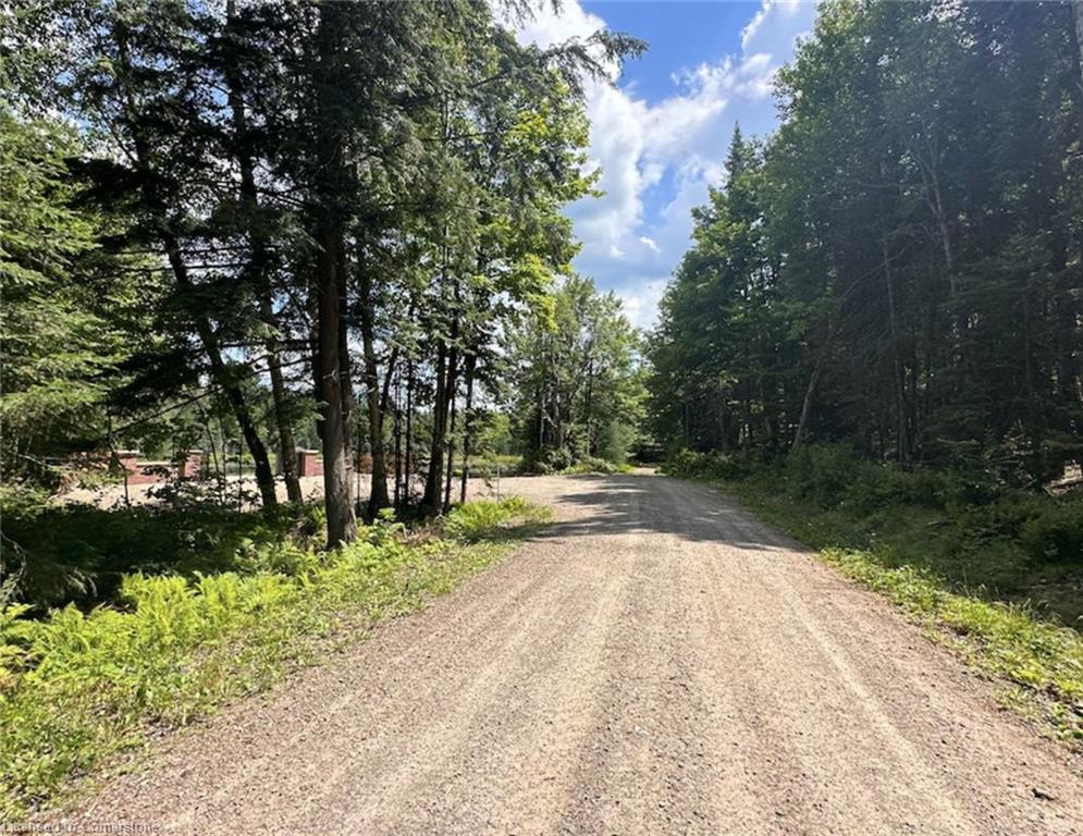 Lot 12 Axe Lake Road Property Photo 7
