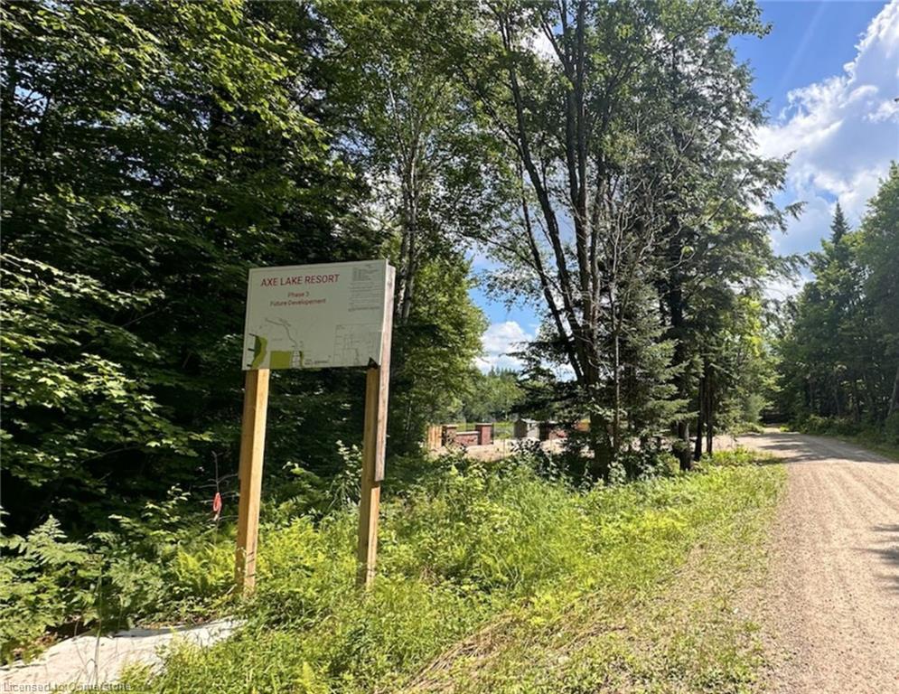 Lot 12 Axe Lake Road Property Photo 8
